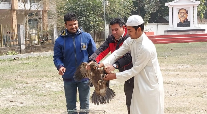 নীলফামারীতে চিকিৎসার পর আকাশে মুক্ত চিল